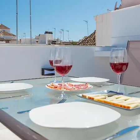 Hanami Atico Duplex La Palma Huerto 22 5